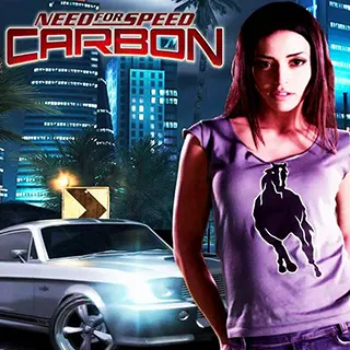 PC/PS2/Xbox360/NGC/Wii/PSP/NDS/GBA 极品飞车10：卡本峡谷 Need for Speed: Carbon