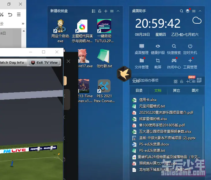 PC 足球经理2009 游戏截图